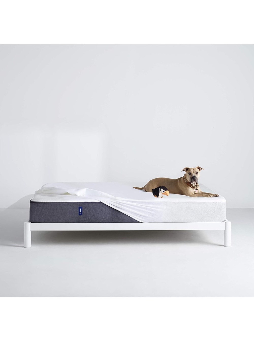 CASPER Waterproof Mattress Protector, King, White